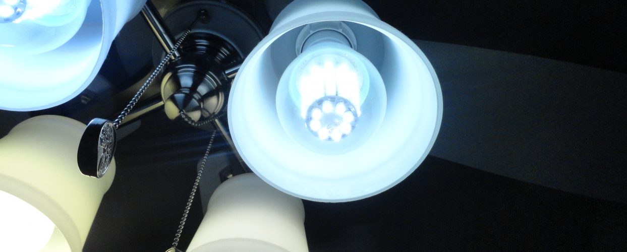 G series LED Bulb