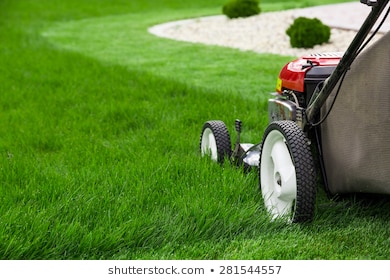 Medium Lawn Care