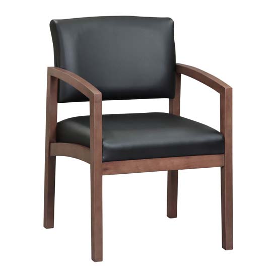 Designer Guest Chair