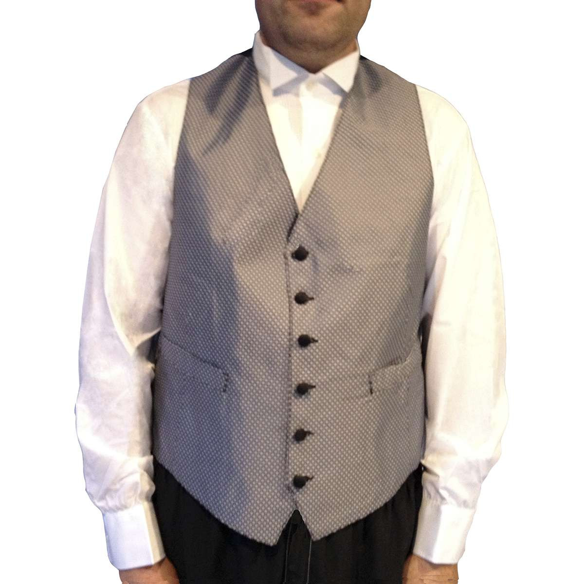 Men's Silver Threads Tuxedo Vest